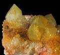 Sunshine Cactus Quartz Crystal - South Africa #98378-1